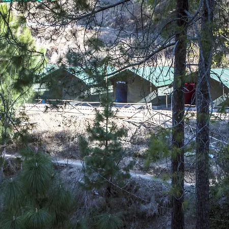 Jungle Stays Chail Exterior photo