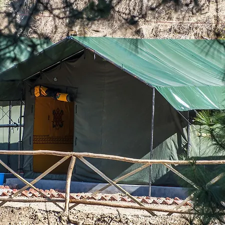 Jungle Stays Chail Exterior photo