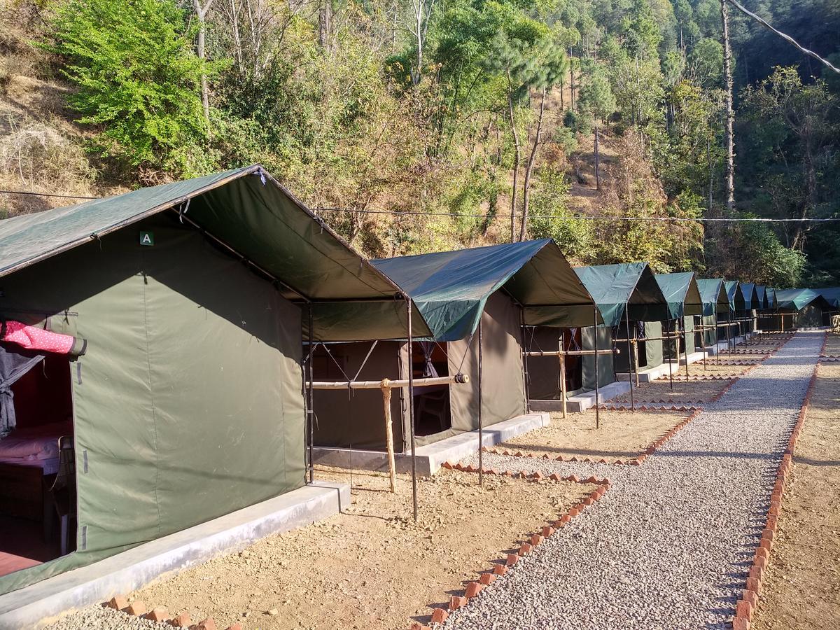 Luxury tent Jungle