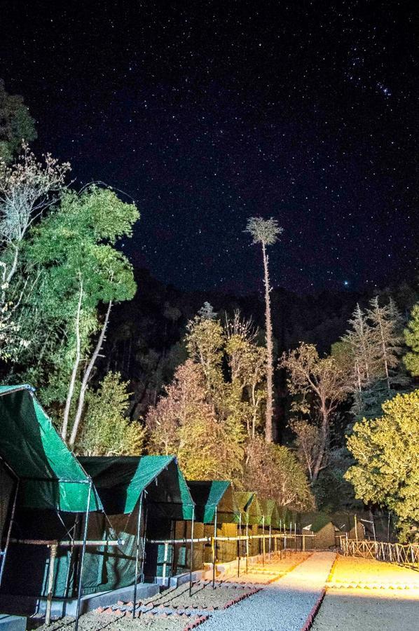 Jungle Luxury tent Chail