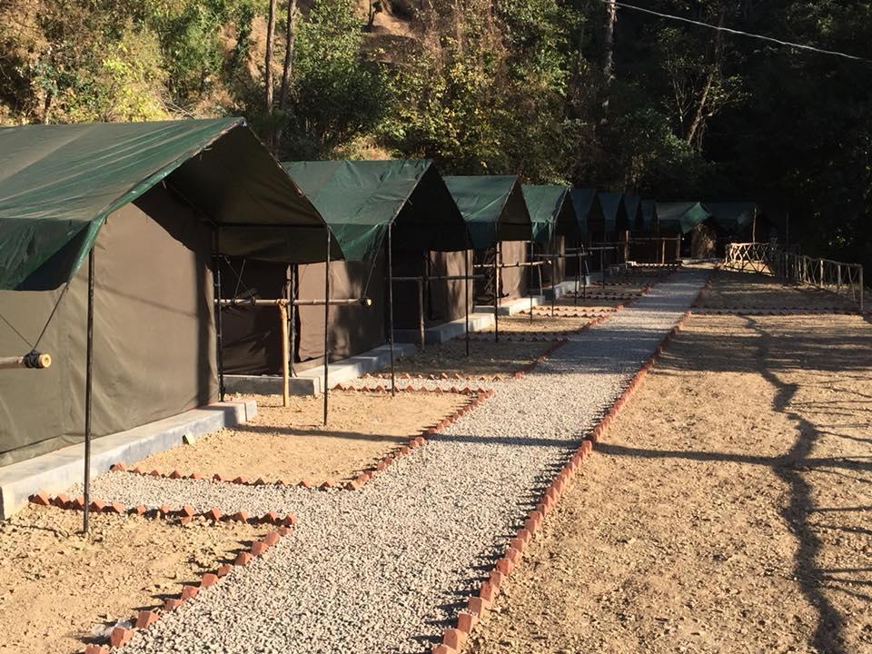 Luxury tent Jungle Chail