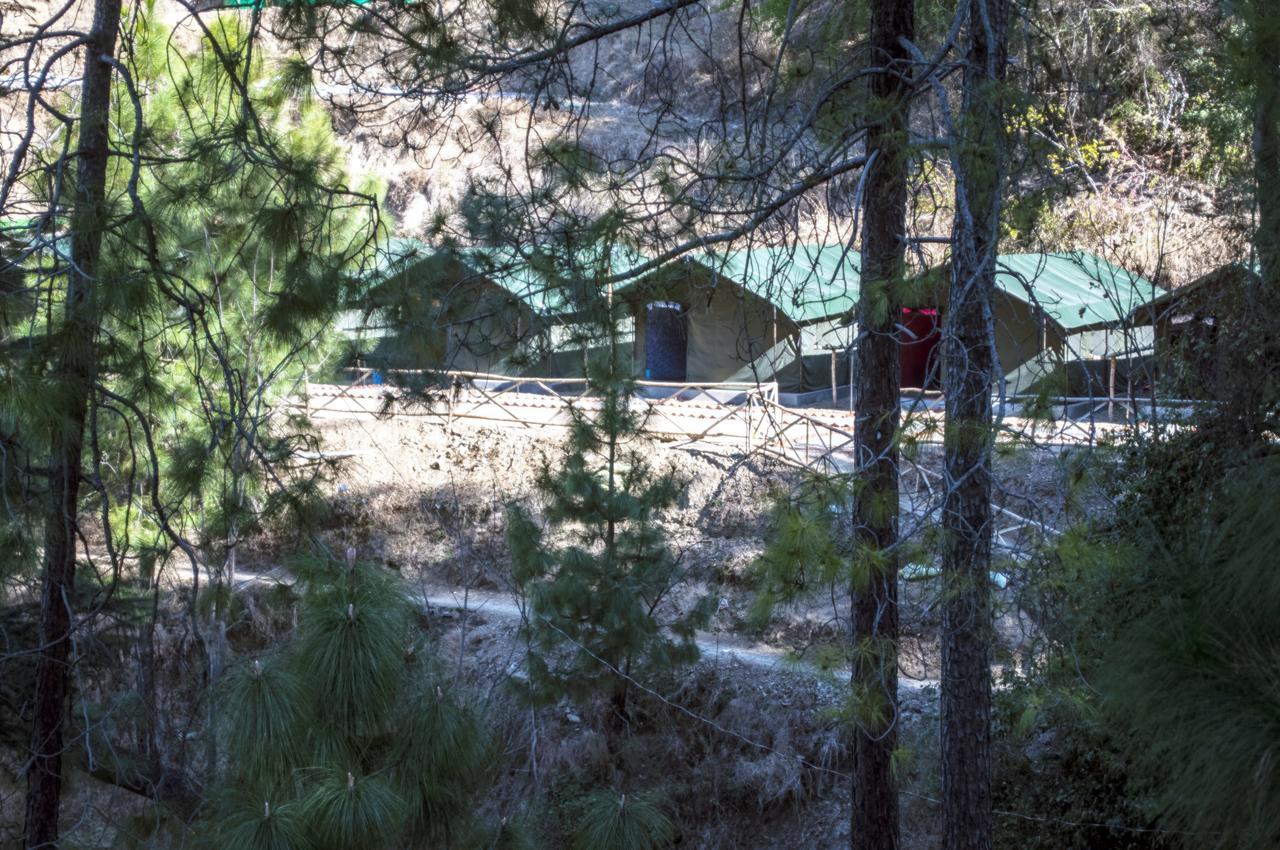 Jungle Luxury tent 2*